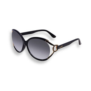 Salvatore Ferragamo Ladies Sunglasses